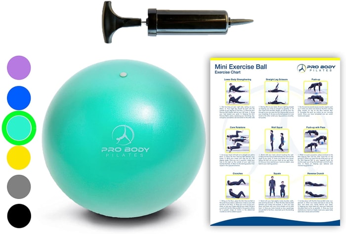 STOTT PILATES Mini Stability Ball