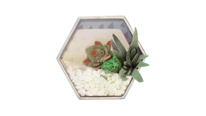 Craft Crush Mini Terrariums Kit