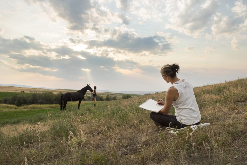 sketching horses