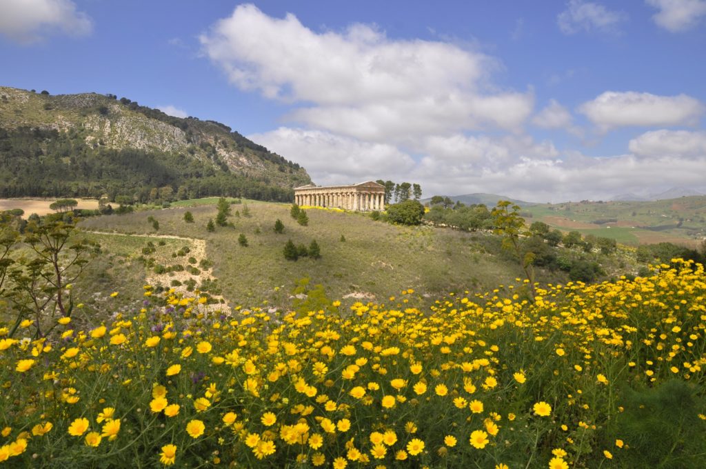 sicily-yoga-vineyard