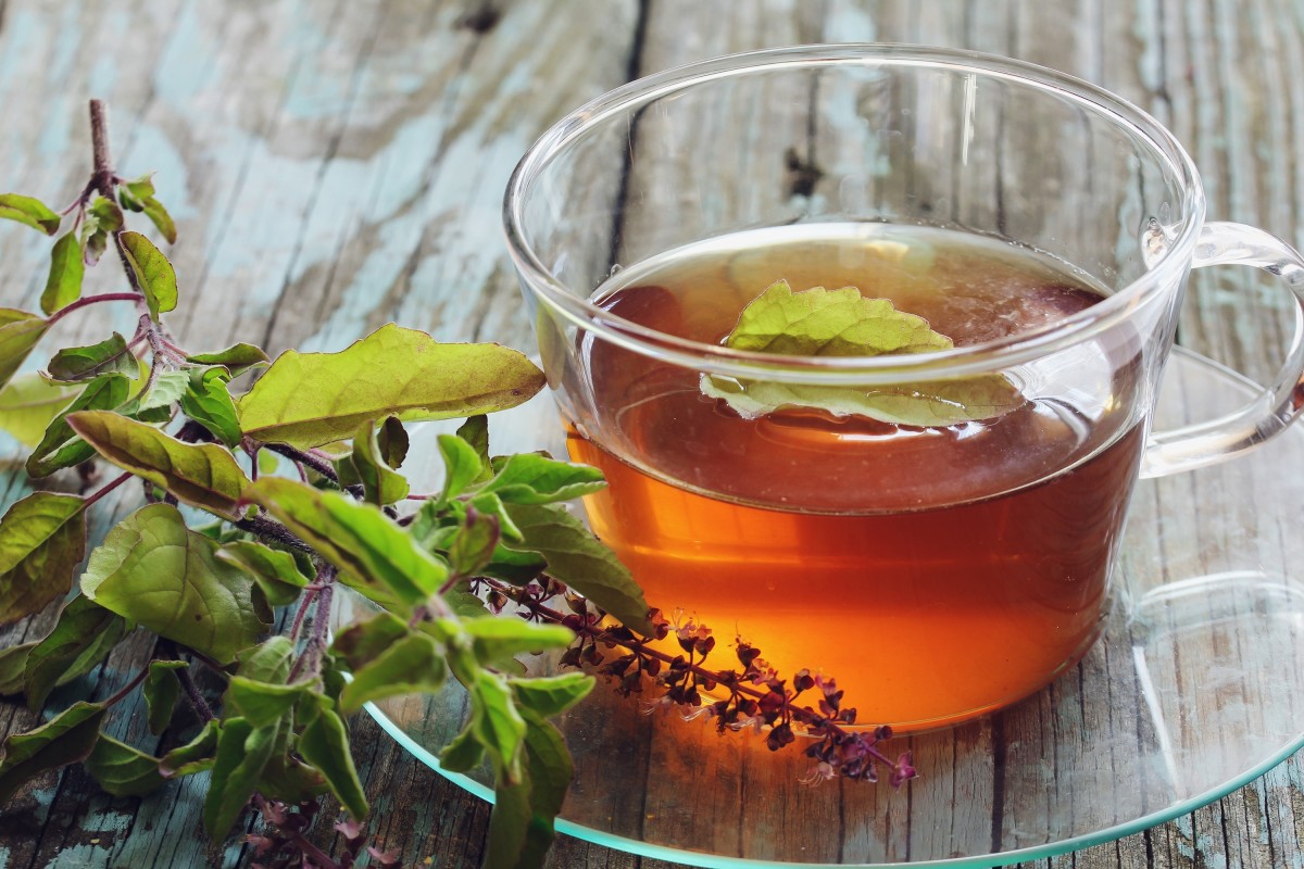 a cup of tulsi tea