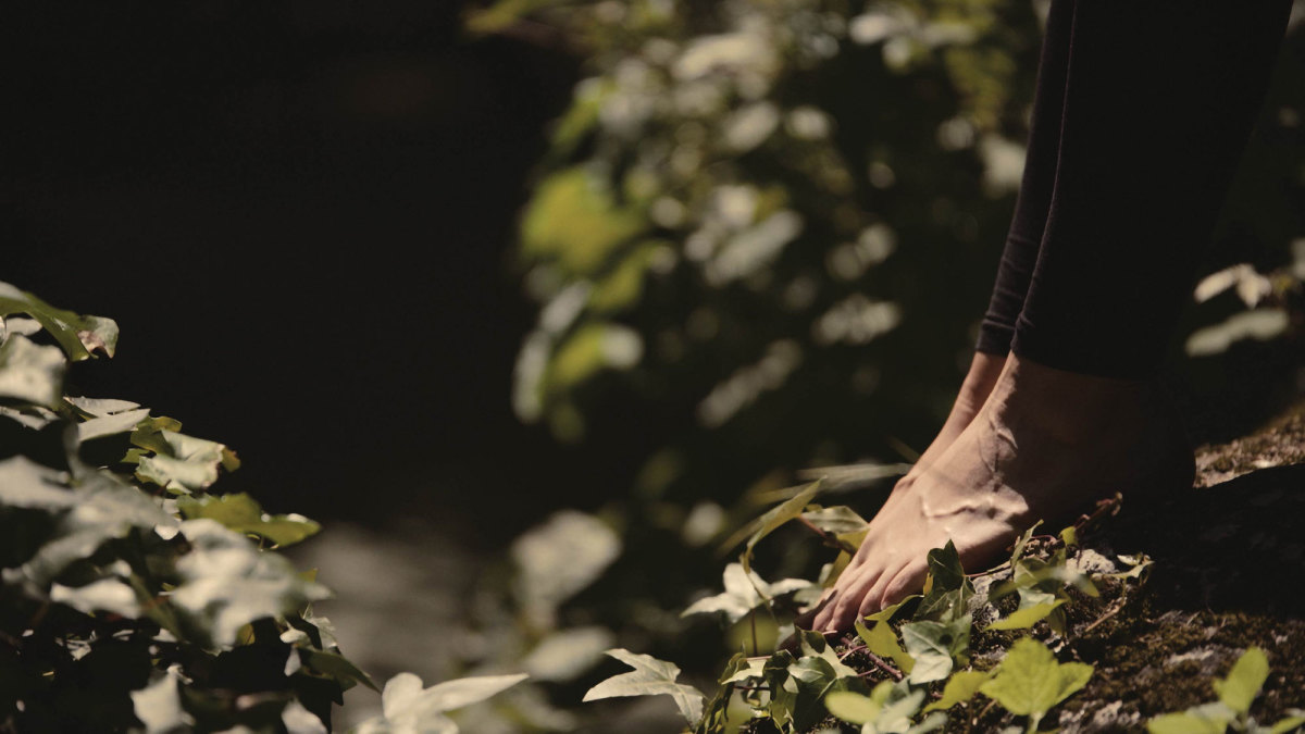 Forest bathing feet in ivy